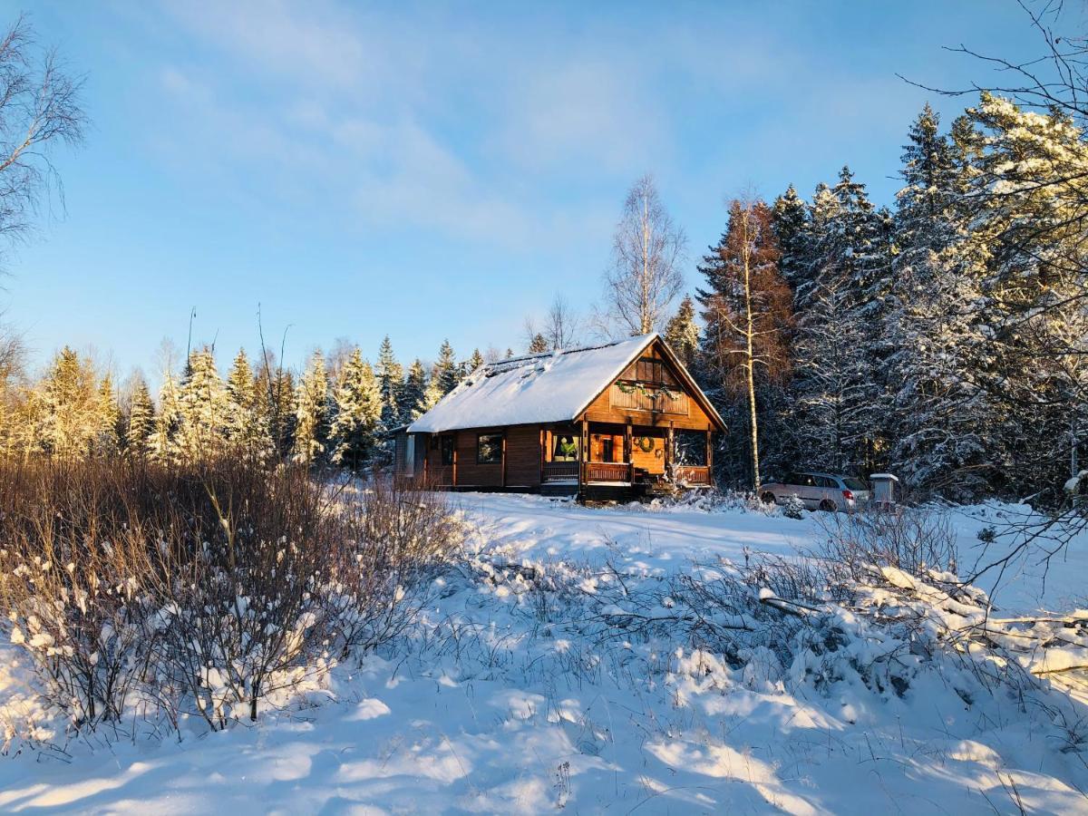 Chalet Holmen أوديفالا المظهر الخارجي الصورة